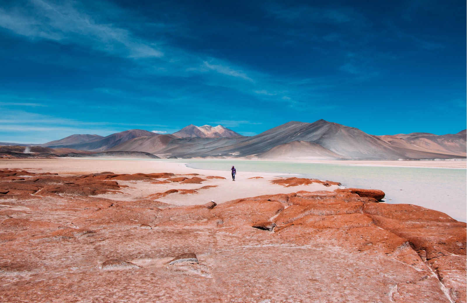 contenidos-explora-desierto